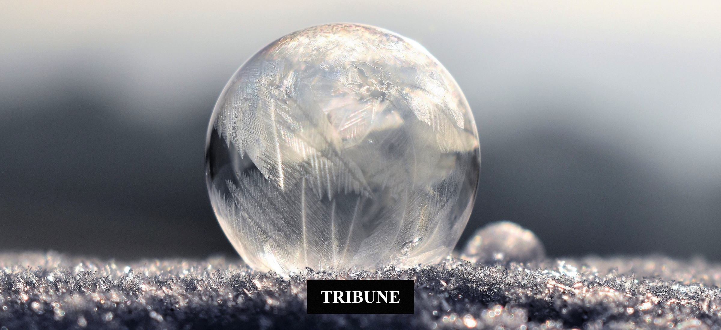 Aimer l’argent sans culpabilité & Oser prospérer.