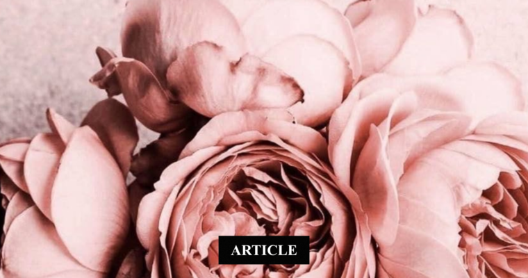 Vendre sans se trahir avec éthique et intuition