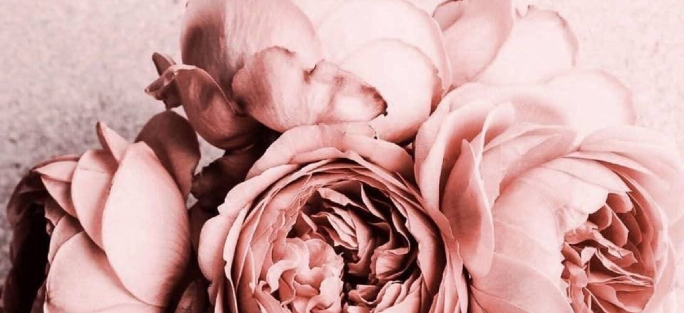 Vendre sans se trahir avec éthique et intuition