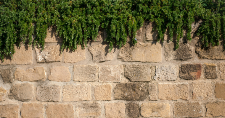 Nouvelle Lune en Capricorne du 18.01.2026 – Bâtir juste, depuis l’essentiel…