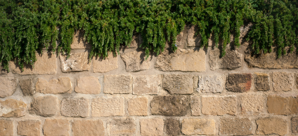 Nouvelle Lune en Capricorne du 18.01.2026 – Bâtir juste, depuis l’essentiel…