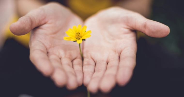 Pleine Lune en Lion du 1er février 2026 – Assumer sa place, clarifier sa valeur, ajuster sa trajectoire.