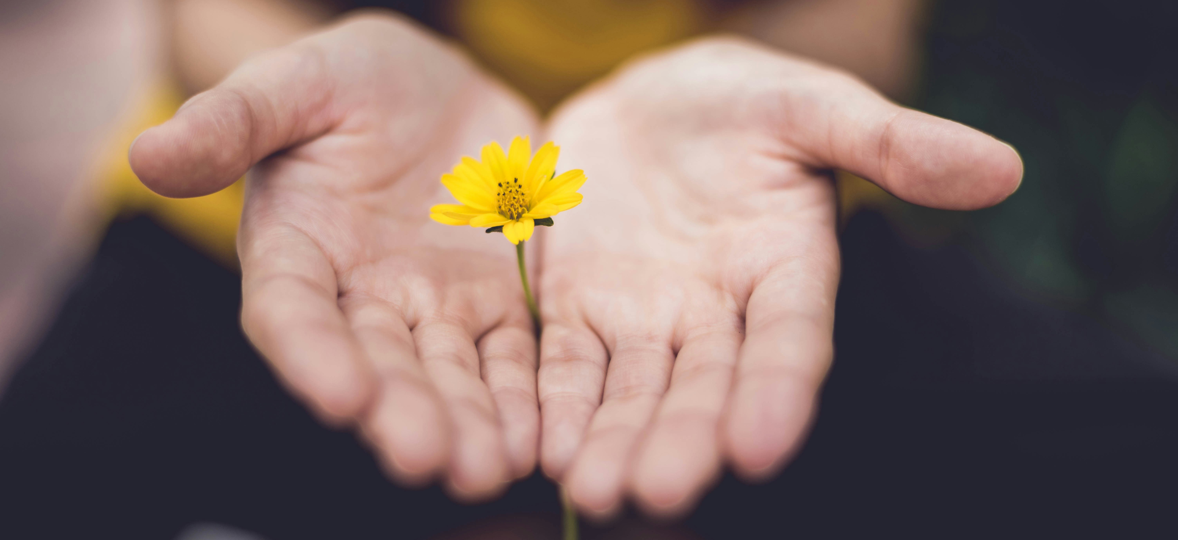 Pleine Lune en Lion du 1er février 2026 – Assumer sa place, clarifier sa valeur, ajuster sa trajectoire.