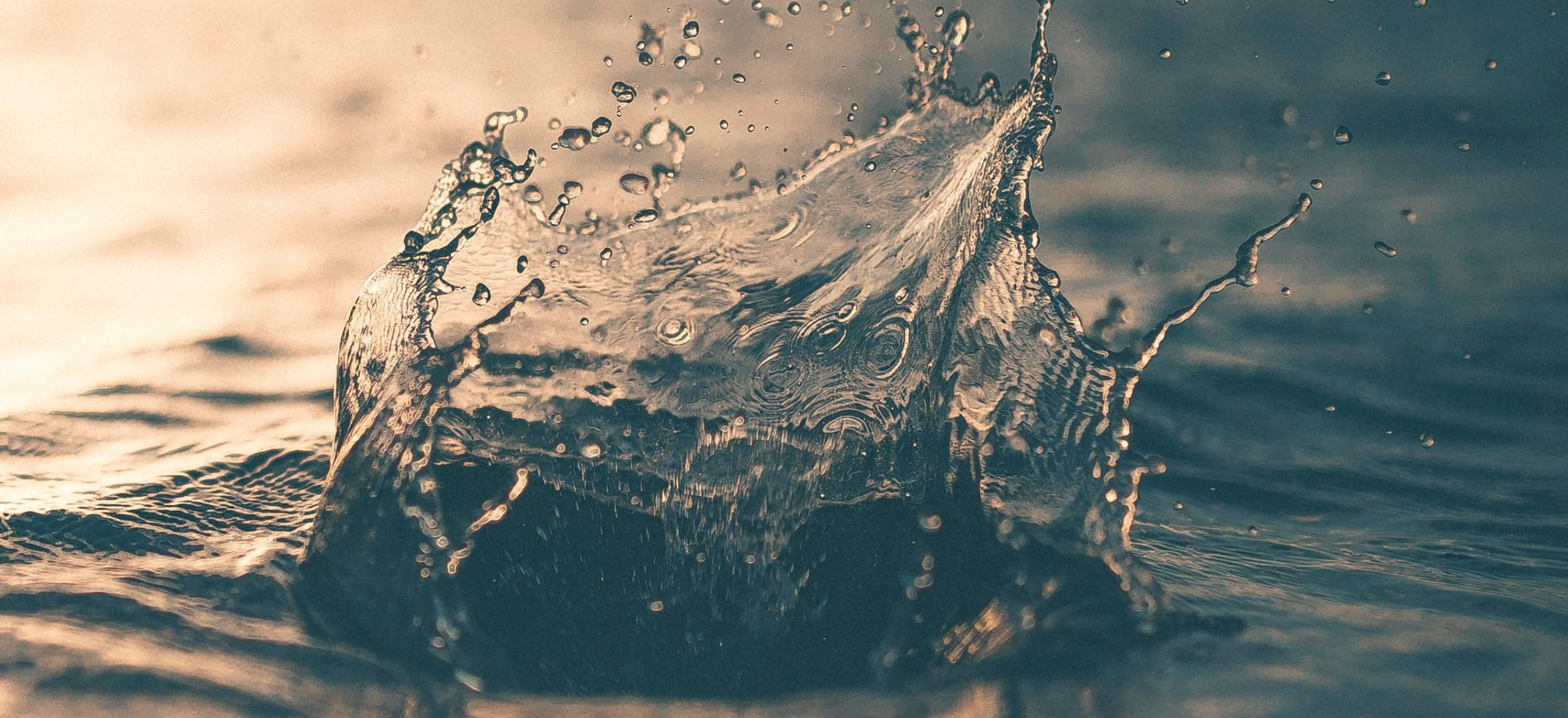 Pourquoi l&rsquo;impact commence par la lucidité ?