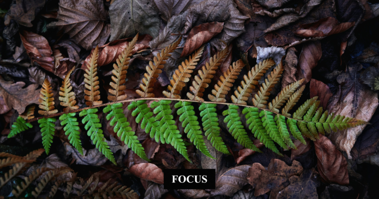 Décider en conscience, non dans le déni.