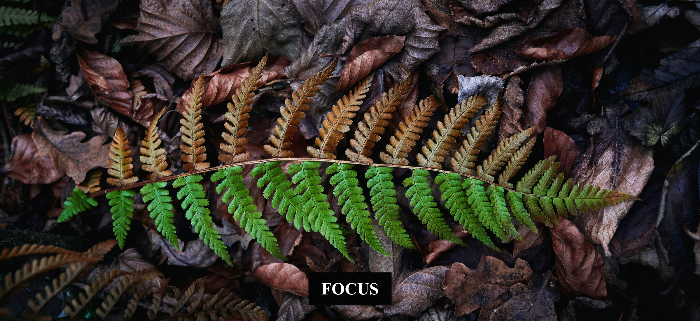 Décider en conscience, non dans le déni.