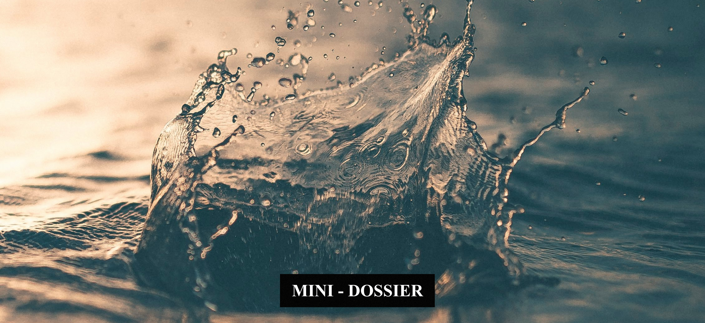 Pourquoi l&rsquo;impact commence par la lucidité ?