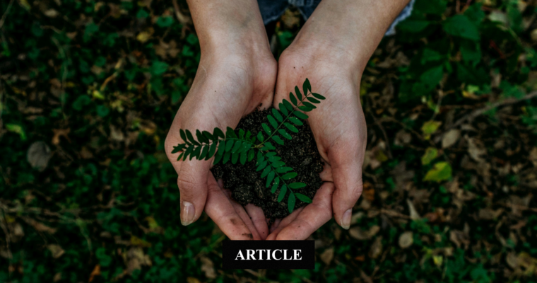 Clarté financière et responsabilité écologique : les deux faces d&rsquo;une même lucidité.