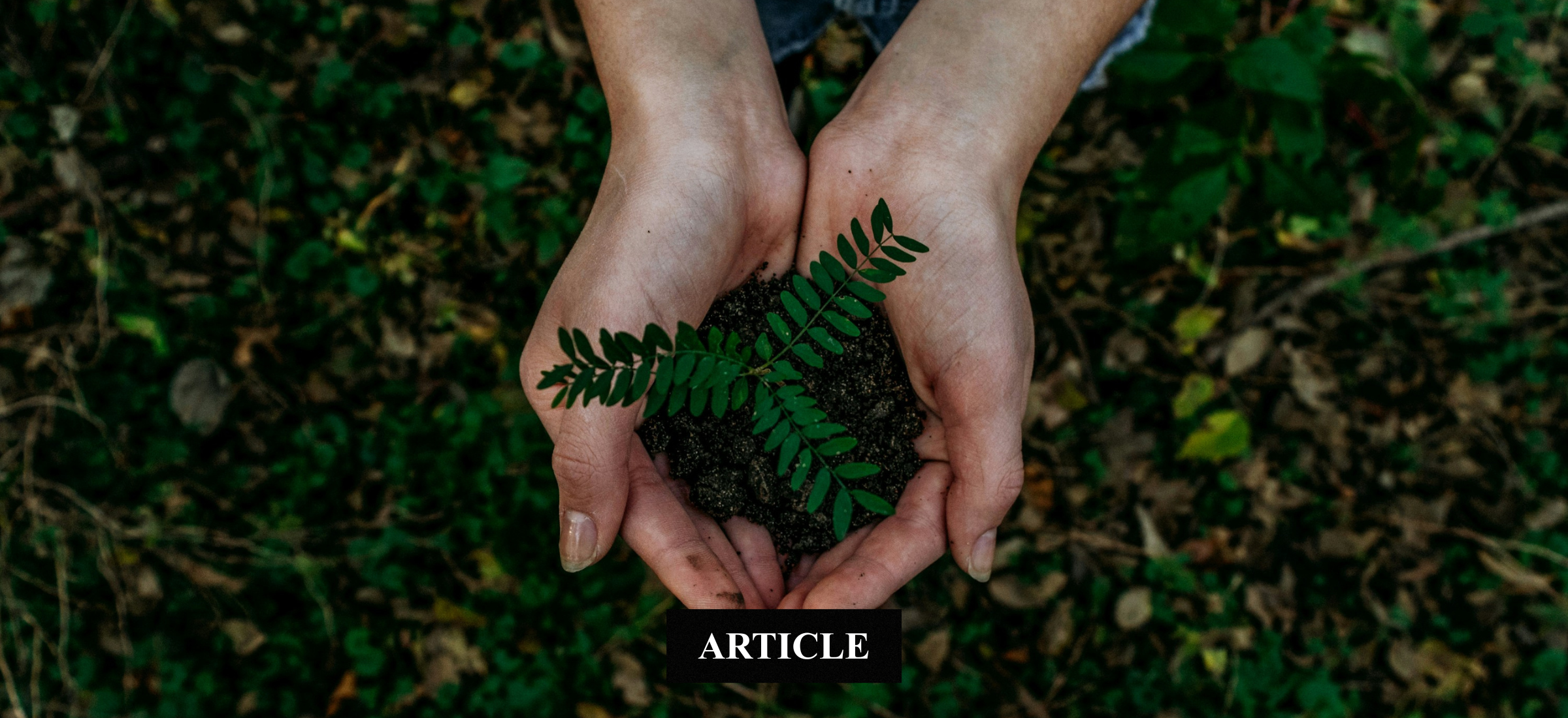 Clarté financière et responsabilité écologique : les deux faces d&rsquo;une même lucidité.