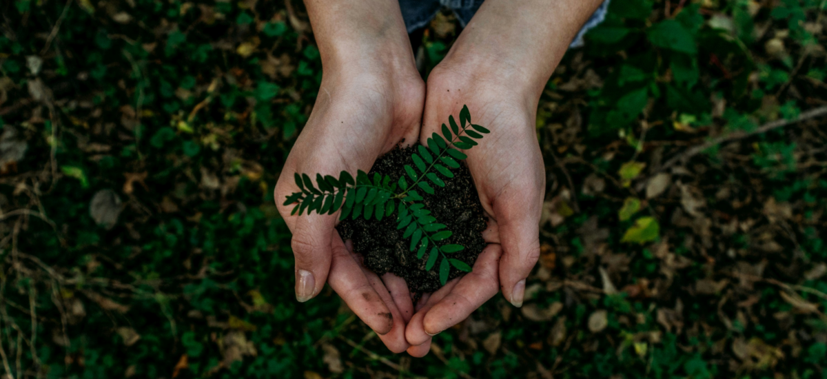CLARTÉ FINANCIÈRE & RESPONSABILITÉ ÉCOLOGIQUE.