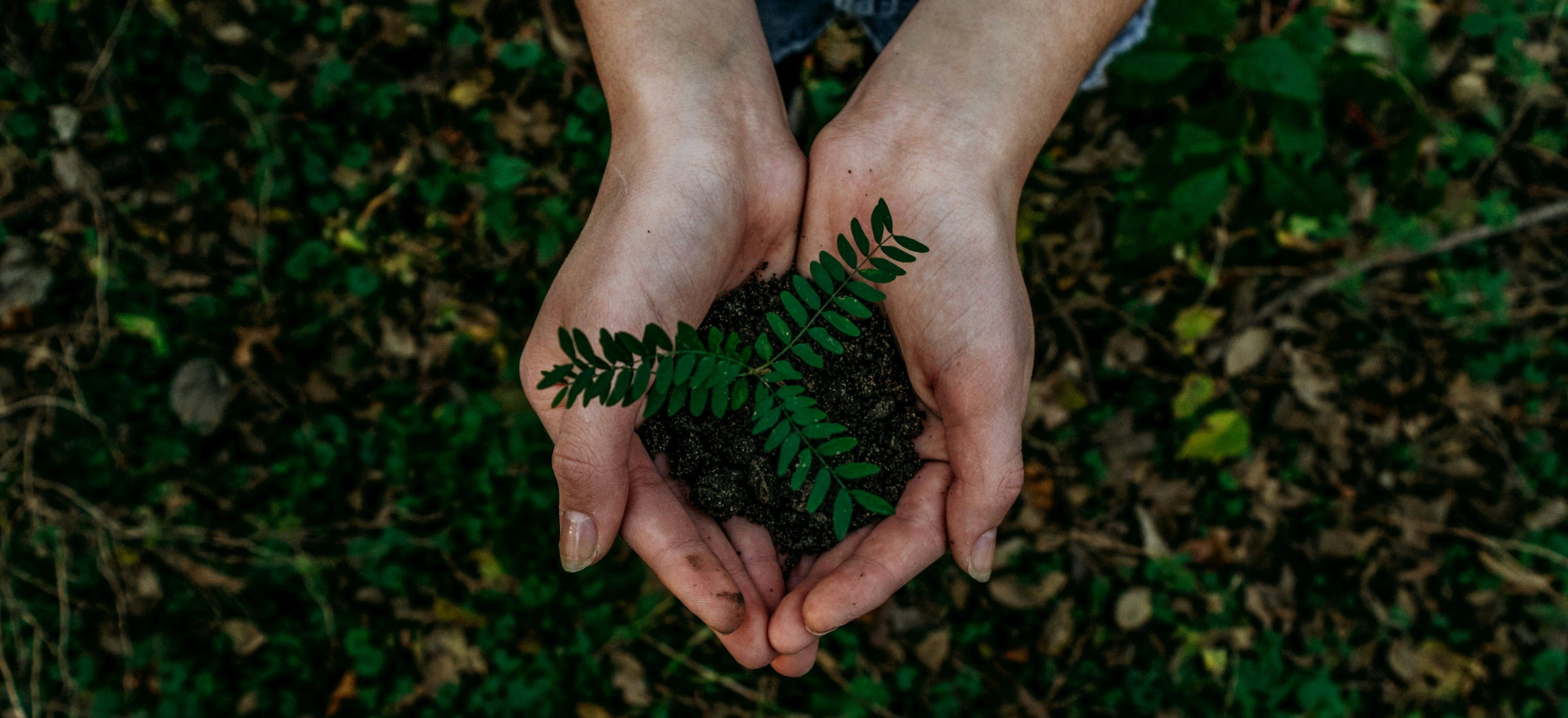 Clarté financière et responsabilité écologique : les deux faces d&rsquo;une même lucidité.