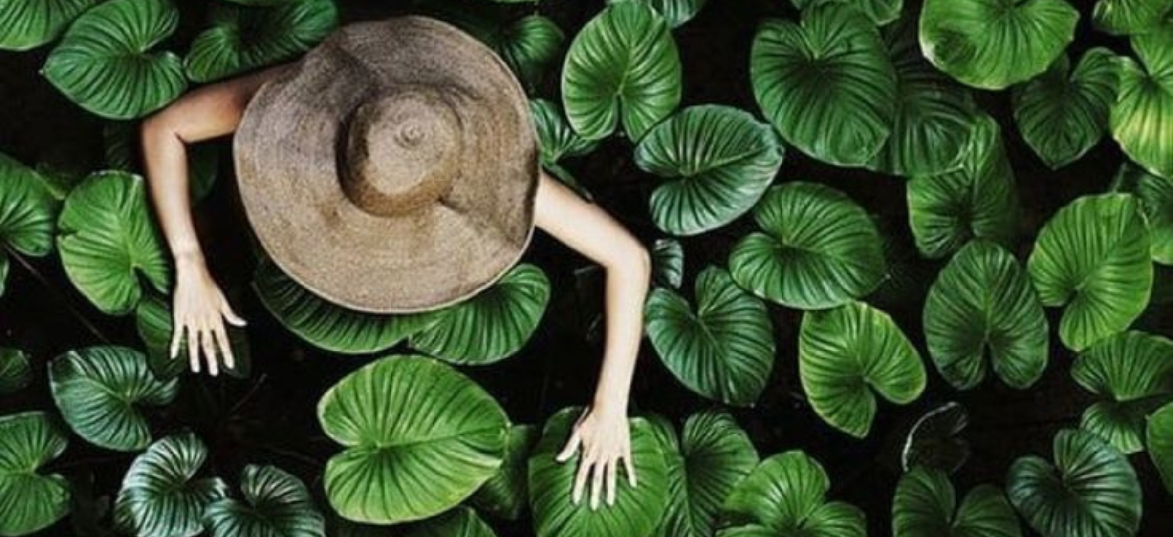 MON ARGENT, MES CHOIX : 5 DÉCISIONS GREEN CONCRÈTES À PRENDRE DANS LES 30 JOURS