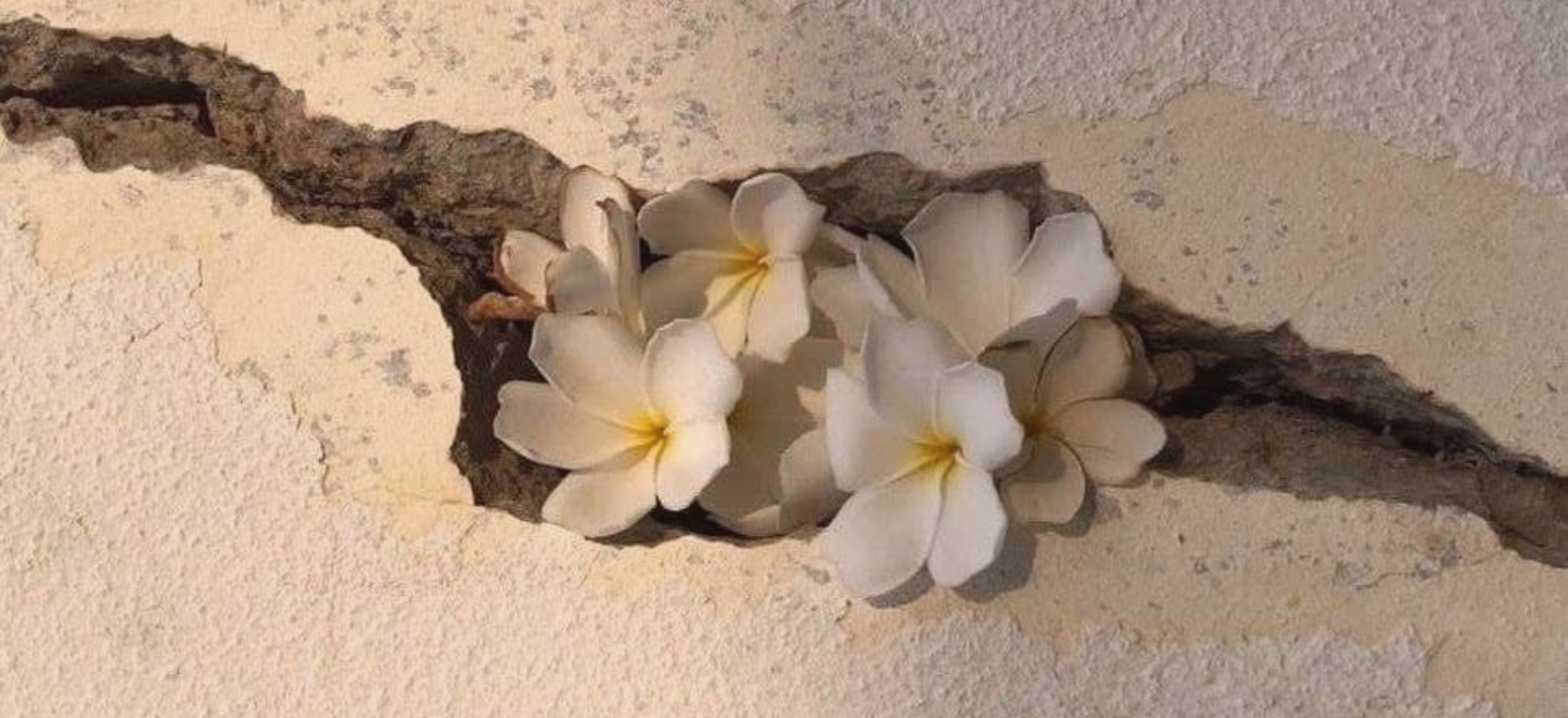 LE MOMENT N’EST JAMAIS PARFAIT. DÉCIDER, C’EST CHOISIR QUAND MÊME.