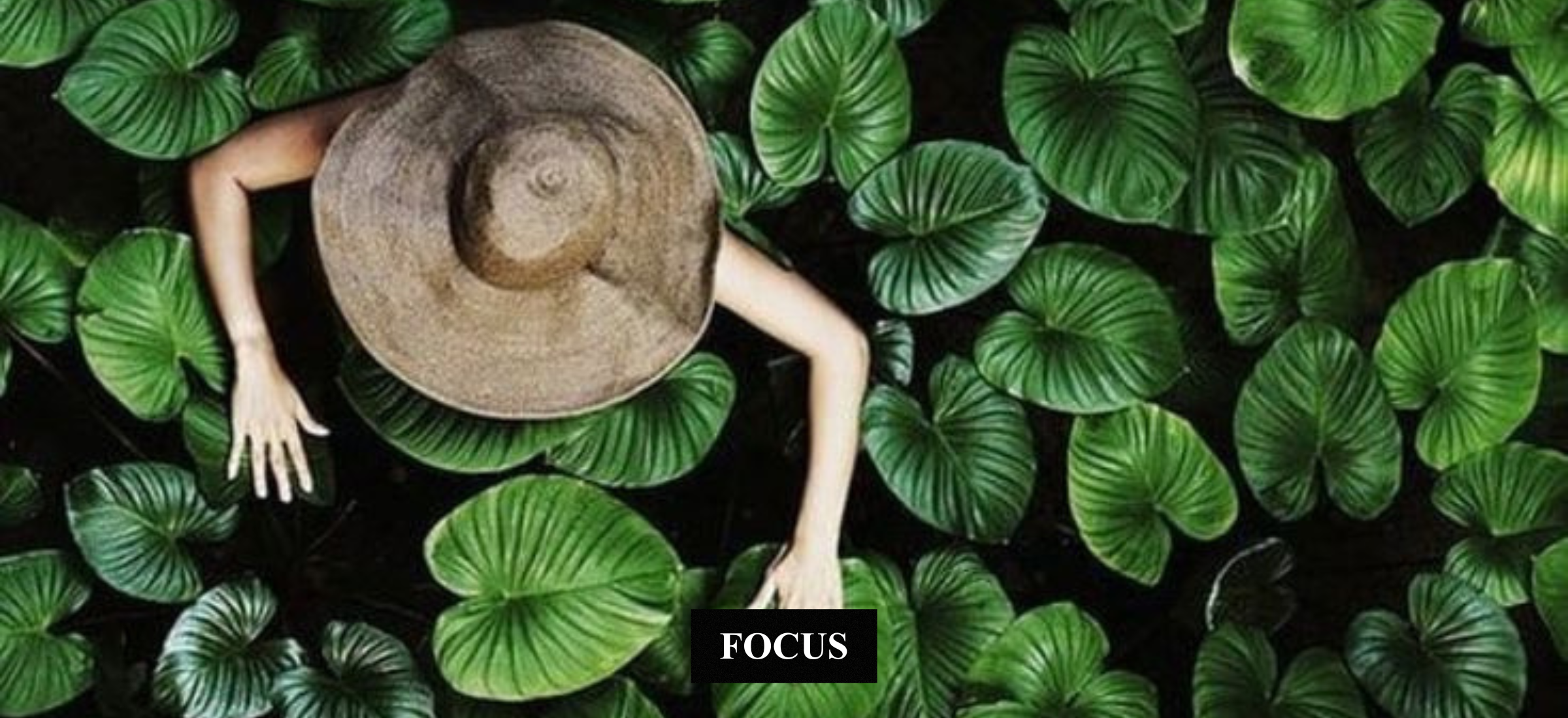 MON ARGENT, MES CHOIX : 5 DÉCISIONS GREEN CONCRÈTES À PRENDRE DANS LES 30 JOURS