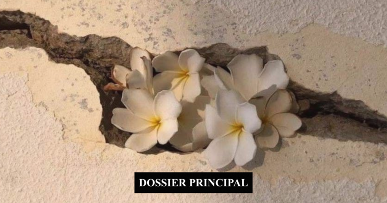 LE MOMENT N&rsquo;EST JAMAIS PARFAIT. DÉCIDER, C&rsquo;EST CHOISIR QUAND MÊME.