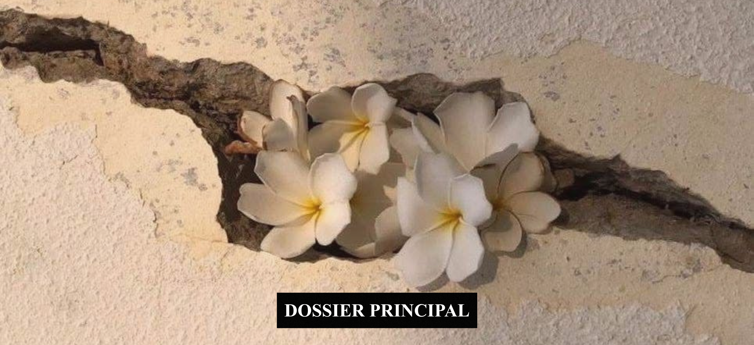 LE MOMENT N’EST JAMAIS PARFAIT. DÉCIDER, C’EST CHOISIR QUAND MÊME.