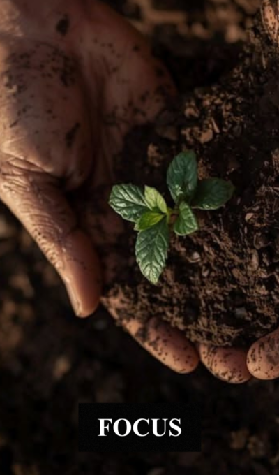 Faire fructifier son argent : les clés pour construire un patrimoine durable